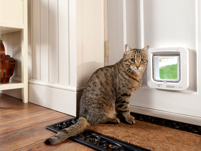 Cost to install cat door best sale